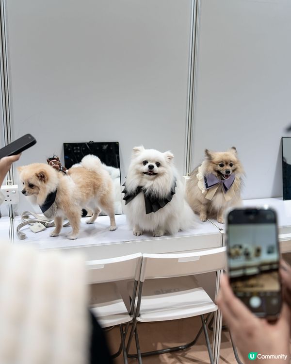 浪琴香港國際馬術盛典