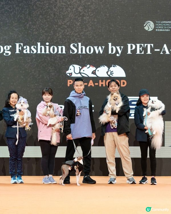 浪琴香港國際馬術盛典