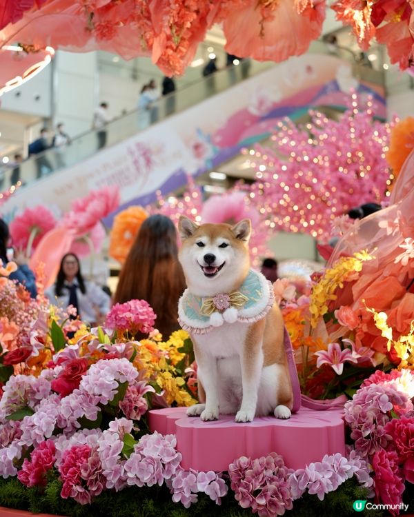 🌺花結春園🌸