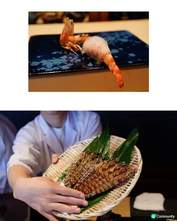 福岡博多omakesa🍣 必食推介！😋