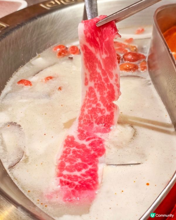 冬天🤩梗係要🍲打邊爐