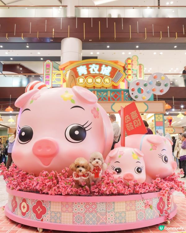 巨型可愛豬仔錢罌🐾🐷