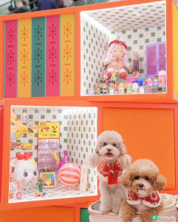 巨型可愛豬仔錢罌🐾🐷