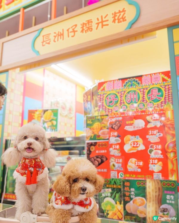 巨型可愛豬仔錢罌🐾🐷