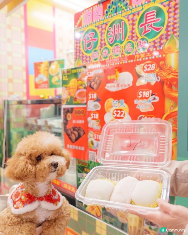 巨型可愛豬仔錢罌🐾🐷