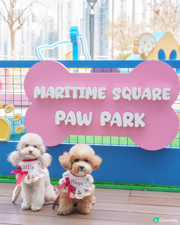 巨型可愛豬仔錢罌🐾🐷