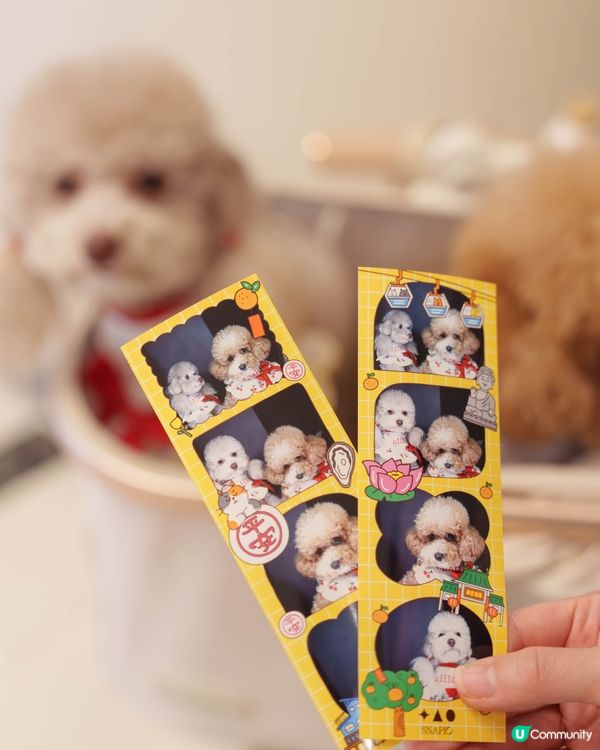 巨型可愛豬仔錢罌🐾🐷