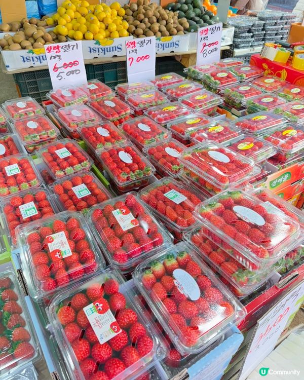 🇰🇷 首爾弘大周邊 ✿ 實現韓國水果自由 ✿