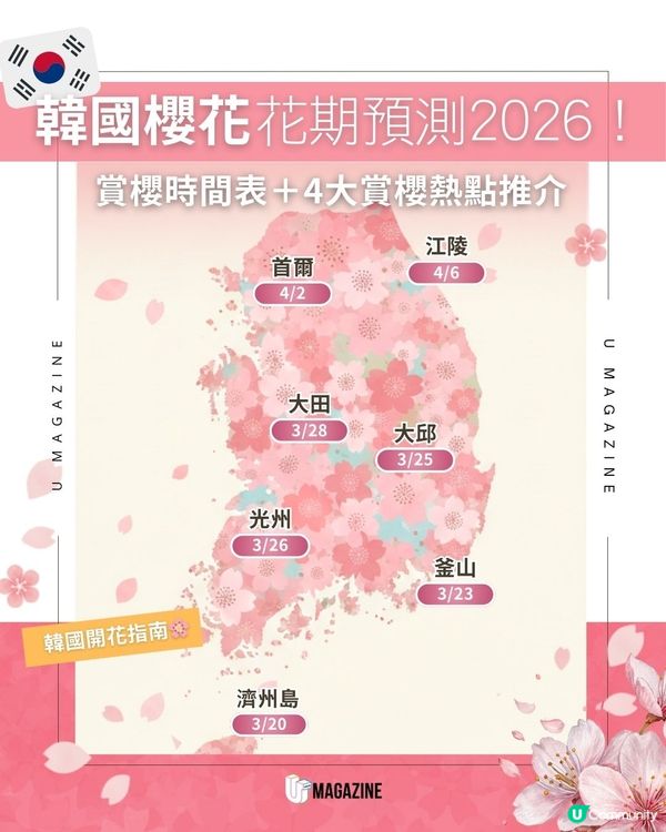 韓國櫻花花期預測2026！賞櫻時間表＋4大賞櫻熱點推介                                    