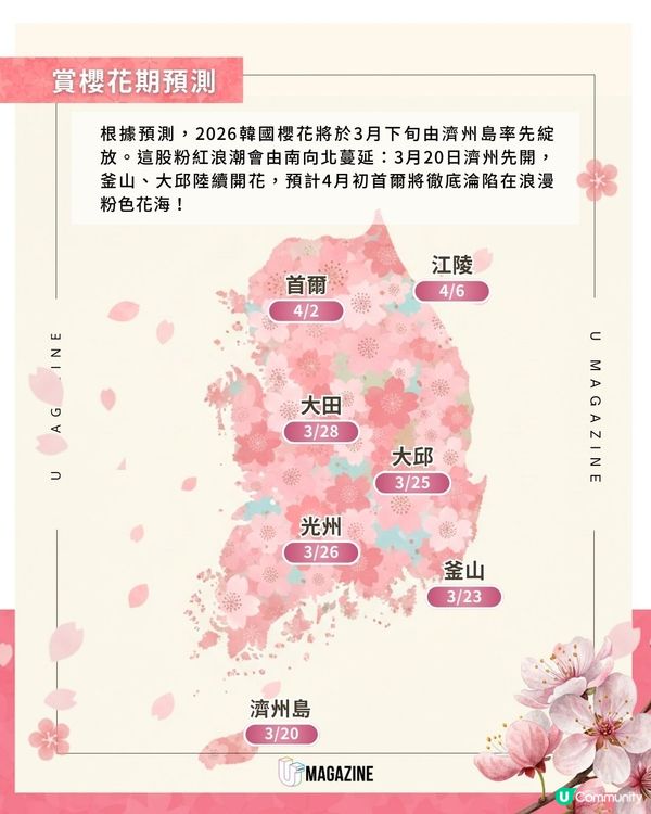韓國櫻花花期預測2026！賞櫻時間表＋4大賞櫻熱點推介                                    