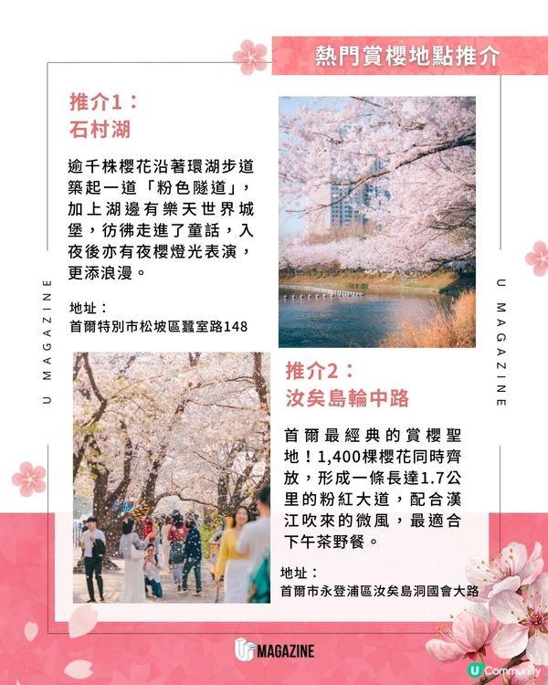 韓國櫻花花期預測2026！賞櫻時間表＋4大賞櫻熱點推介                                    