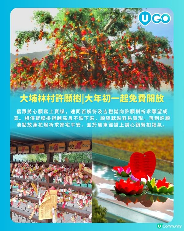 【農曆年必去】本地傳統祈福及慶祝活動推介🧧    