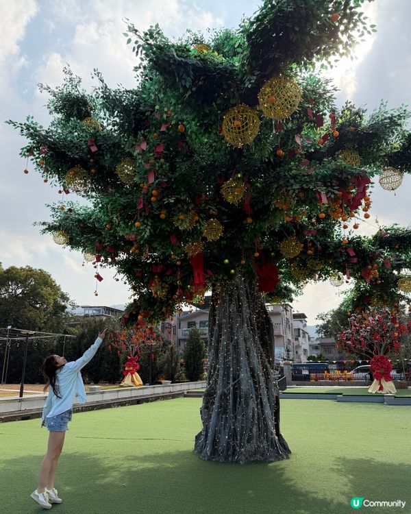 馬年運勢爆燈✨祈願送你健康💪✨