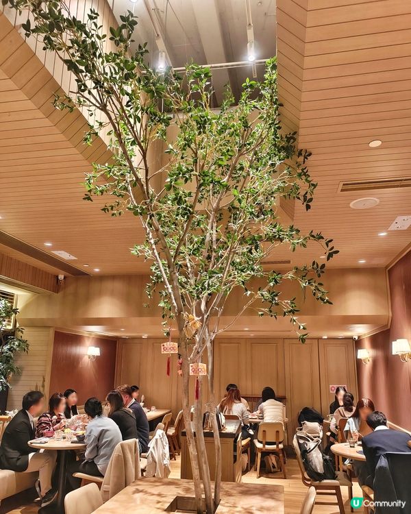 超可愛🥰開運🧧達摩🎋喫茶店