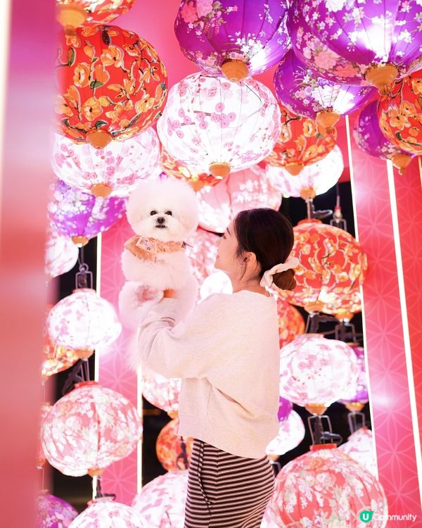 北角匯打卡📱迎新春🧨🧧✨