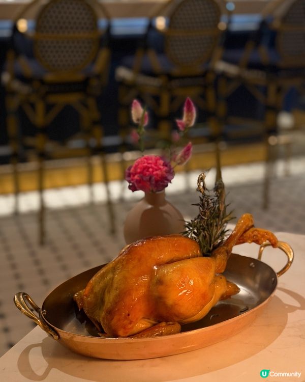 華麗巴黎小餐館  米芝蓮級法式精緻  🇫🇷