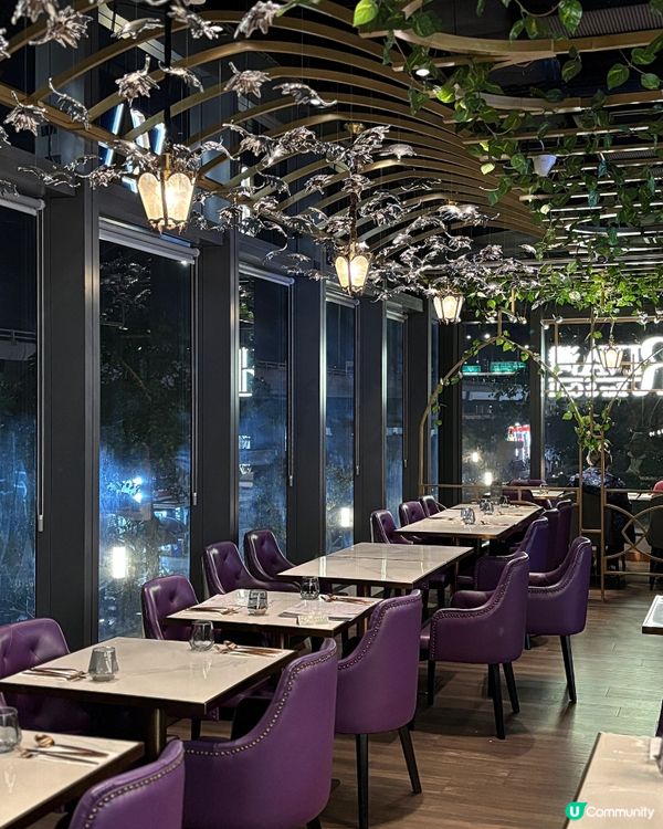 🎀北角｡性價比打卡慶祝西餐🍴🎀