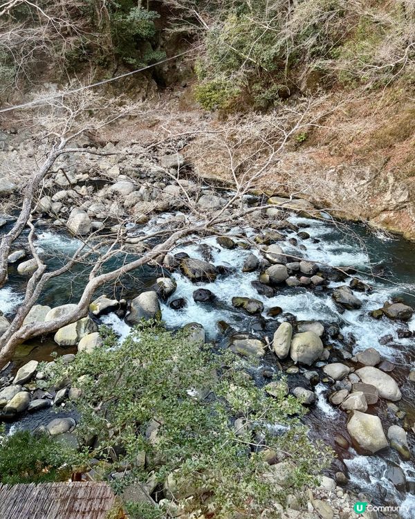 《月光､榻榻米與守護靈:箱根溫泉旅館初體驗》🧖🏻‍♀️