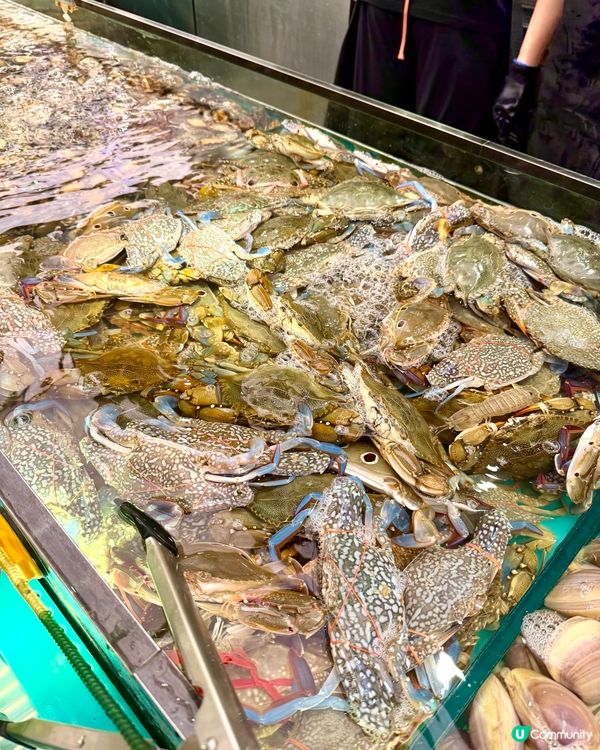 千海水產海鮮火鍋放題