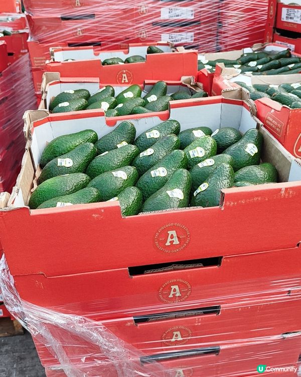 🥭🫐去果欄掃賀年水果！🍊🍓