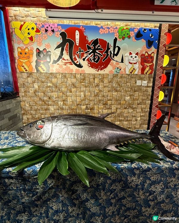 吞拿魚解體晚🍣激罕部位等緊你！🐟