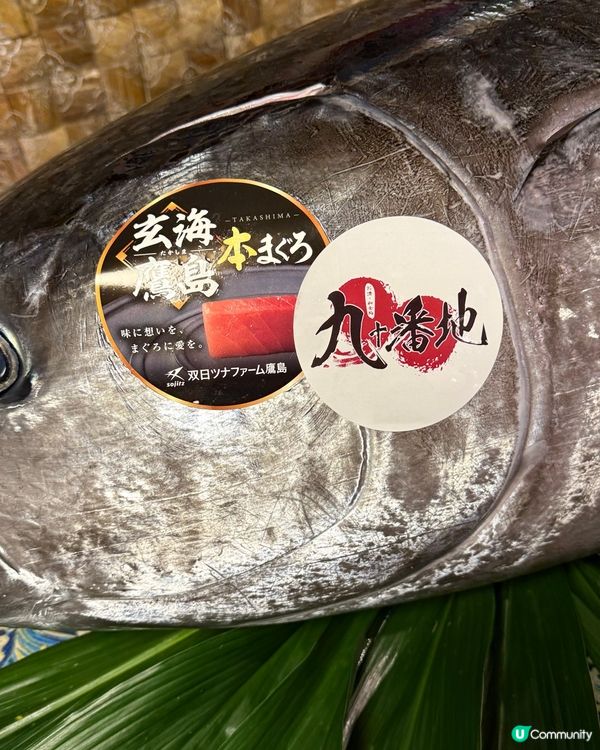 吞拿魚解體晚🍣激罕部位等緊你！🐟