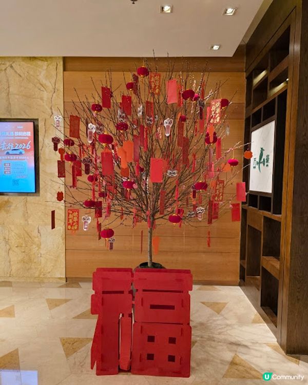 《環迴深圳》X 團年飯系列 X 人均不到￥350 X 生蠔龍蝦宴 @ Cafe Chinois ( 車公廟站金茂JW萬豪酒店 )