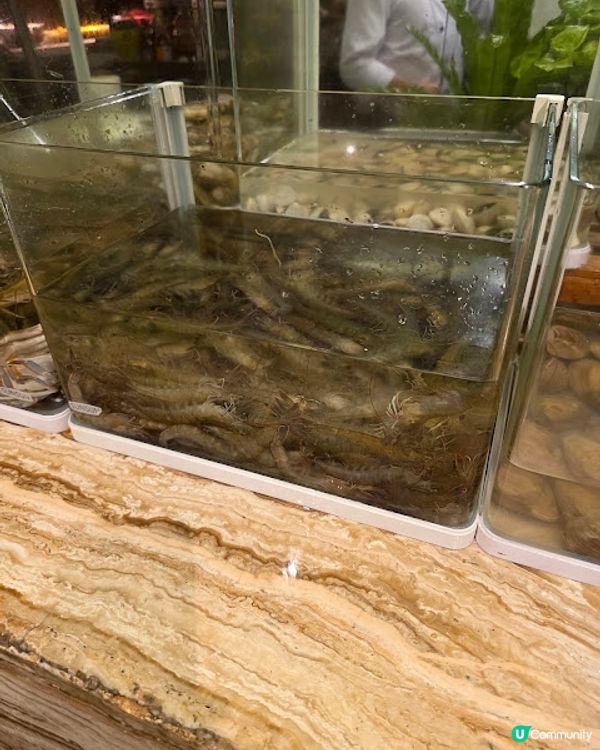 《環迴深圳》X 團年飯系列 X 人均不到￥350 X 生蠔龍蝦宴 @ Cafe Chinois ( 車公廟站金茂JW萬豪酒店 )