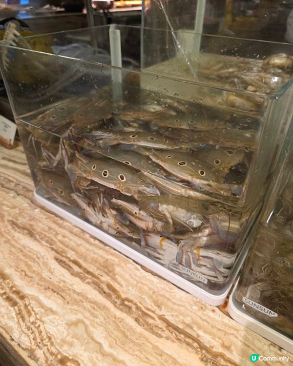 《環迴深圳》X 團年飯系列 X 人均不到￥350 X 生蠔龍蝦宴 @ Cafe Chinois ( 車公廟站金茂JW萬豪酒店 )