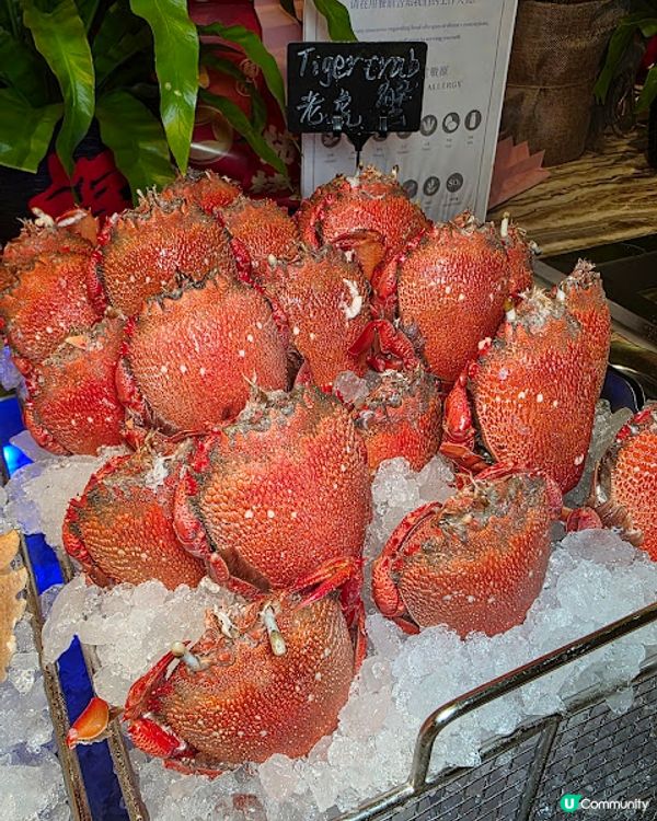 《環迴深圳》X 團年飯系列 X 人均不到￥350 X 生蠔龍蝦宴 @ Cafe Chinois ( 車公廟站金茂JW萬豪酒店 )