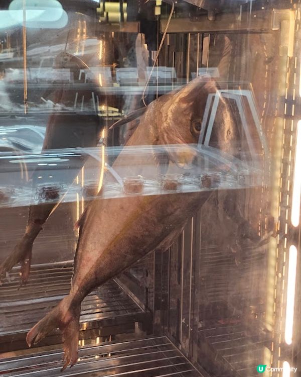 《環迴深圳》X 團年飯系列 X 人均不到￥350 X 生蠔龍蝦宴 @ Cafe Chinois ( 車公廟站金茂JW萬豪酒店 )