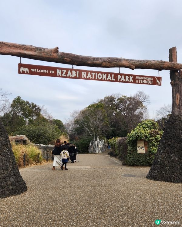 冬日大阪親子遊：天王寺動物園 🦝🐯