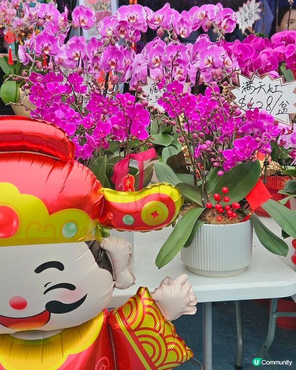 蘭花開紅運 📍 觀塘新年必行！🤩