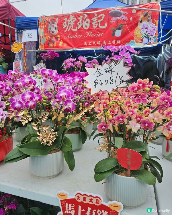 蘭花開紅運 📍 觀塘新年必行！🤩