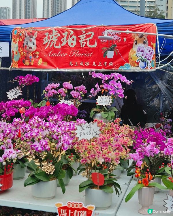 蘭花開紅運 📍 觀塘新年必行！🤩