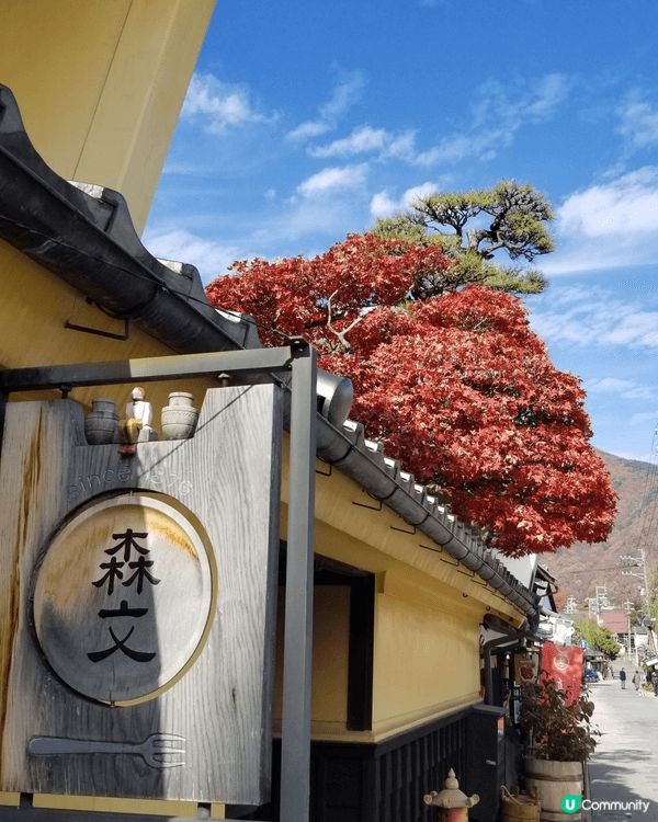 日本美景，天空美，街道整潔，又有紅葉，氣溫又舒服，無得輸。