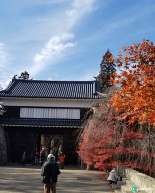 日本美景，天空美，街道整潔，又有紅葉，氣溫又舒服，無得輸。