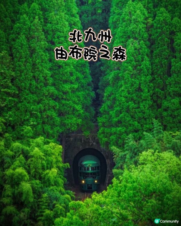 由布院之森：移動的森林沙龍（懶人包）