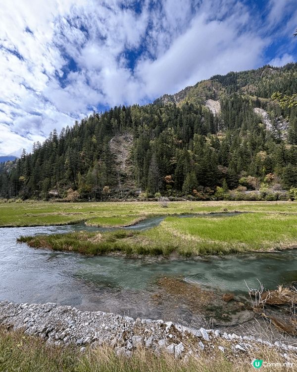 九寨溝一日遊真係好充實✨｡一早入景區,先去到樹正群海,湖水清...