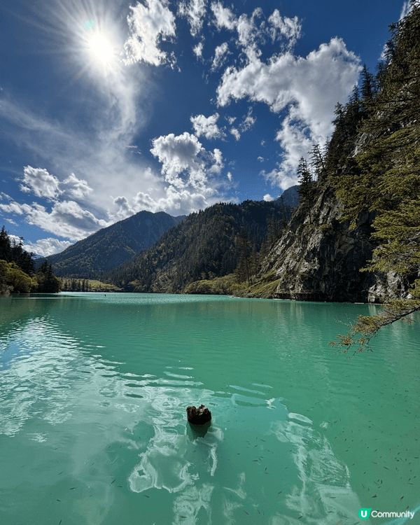 九寨溝一日遊真係好充實✨｡一早入景區,先去到樹正群海,湖水清...