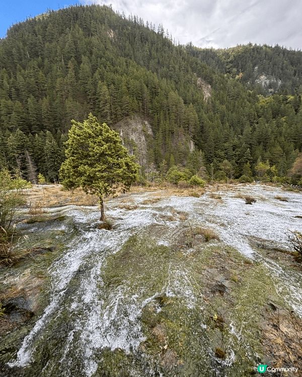 九寨溝一日遊真係好充實✨｡一早入景區,先去到樹正群海,湖水清...
