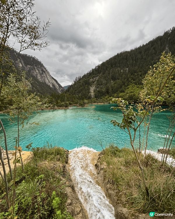 九寨溝一日遊真係好充實✨｡一早入景區,先去到樹正群海,湖水清...