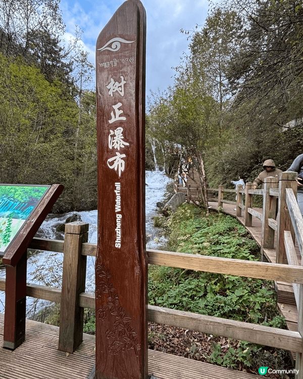 九寨溝一日遊真係好充實✨｡一早入景區,先去到樹正群海,湖水清...