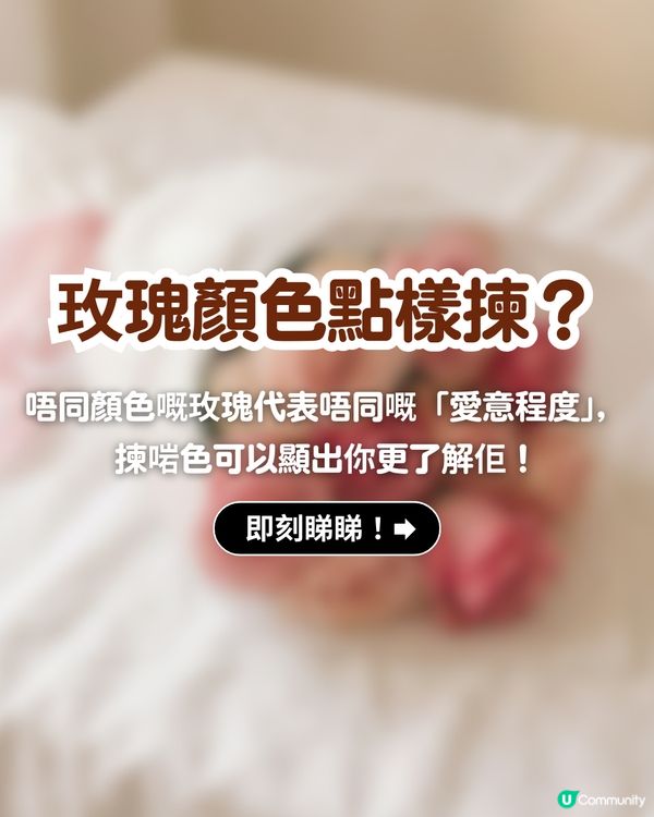 ✨情人節不踩雷送花攻略🌸🤍 | 花語/數量/禁忌一文睇曬！玫瑰花外5大高質感小眾花推介💖