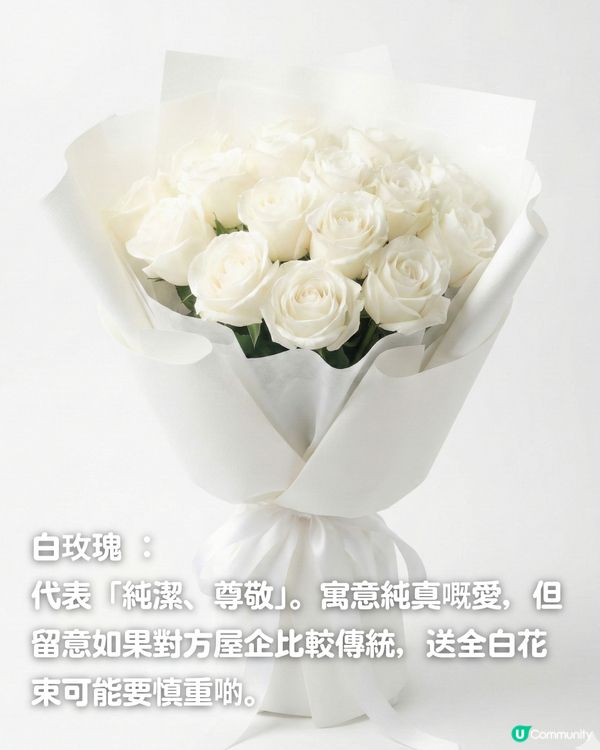 ✨情人節不踩雷送花攻略🌸🤍 | 花語/數量/禁忌一文睇曬！玫瑰花外5大高質感小眾花推介💖