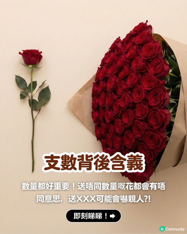 ✨情人節不踩雷送花攻略🌸🤍 | 花語/數量/禁忌一文睇曬！玫瑰花外5大高質感小眾花推介💖