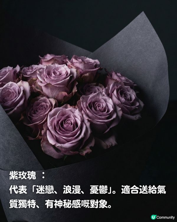 ✨情人節不踩雷送花攻略🌸🤍 | 花語/數量/禁忌一文睇曬！玫瑰花外5大高質感小眾花推介💖