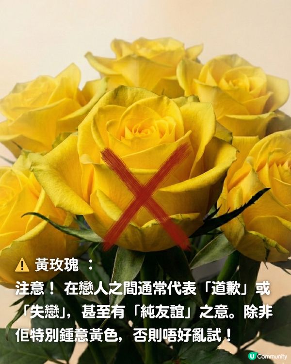 ✨情人節不踩雷送花攻略🌸🤍 | 花語/數量/禁忌一文睇曬！玫瑰花外5大高質感小眾花推介💖