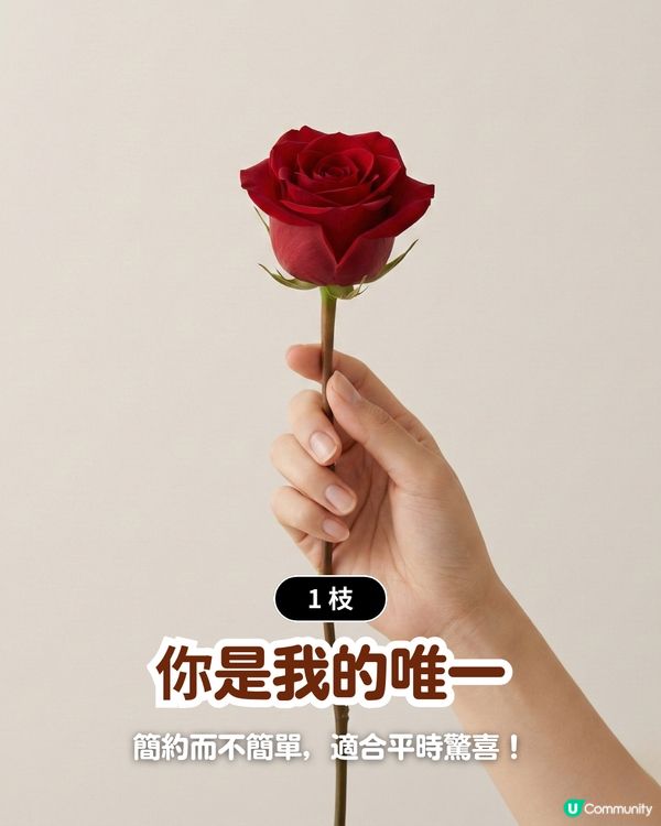 ✨情人節不踩雷送花攻略🌸🤍 | 花語/數量/禁忌一文睇曬！玫瑰花外5大高質感小眾花推介💖