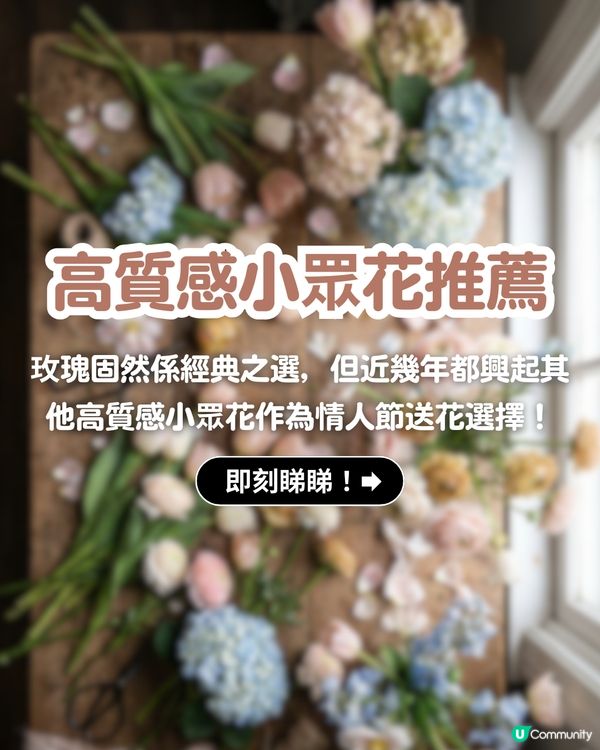 ✨情人節不踩雷送花攻略🌸🤍 | 花語/數量/禁忌一文睇曬！玫瑰花外5大高質感小眾花推介💖